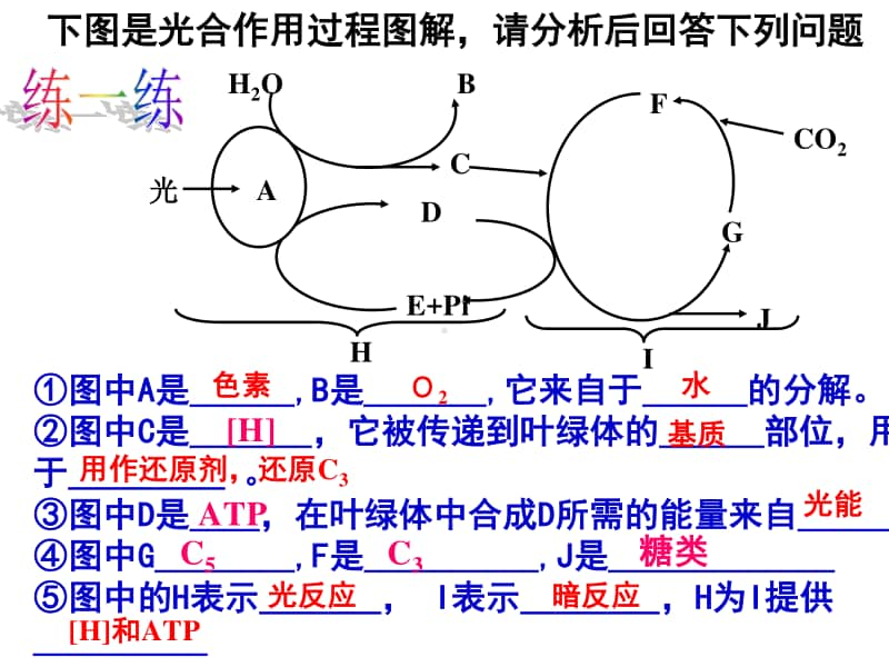 光合作用3 课件 （40张ppt） 2021届高三高考生物一轮复习.ppt_第2页