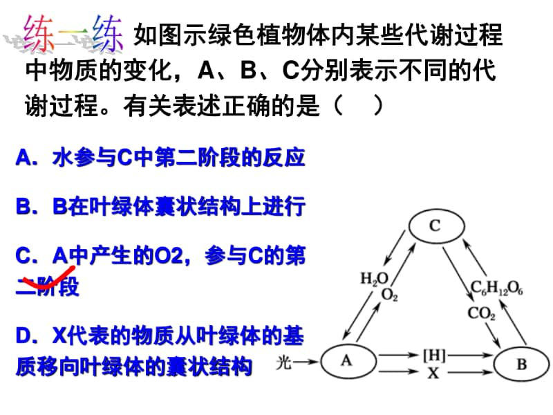 光合作用3 课件 （40张ppt） 2021届高三高考生物一轮复习.ppt_第3页