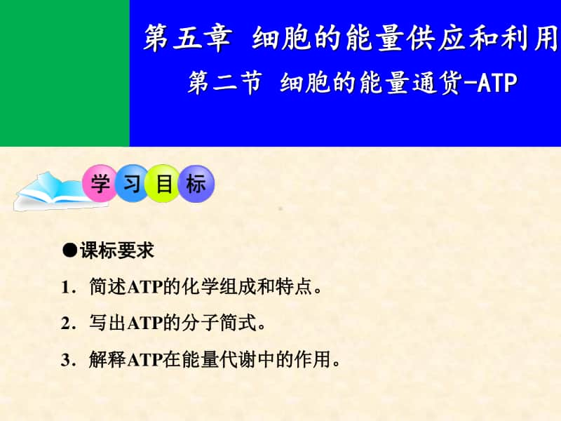 细胞的能量通货-ATP 课件（28张ppt）2021届高三高考生物一轮复习.ppt_第1页