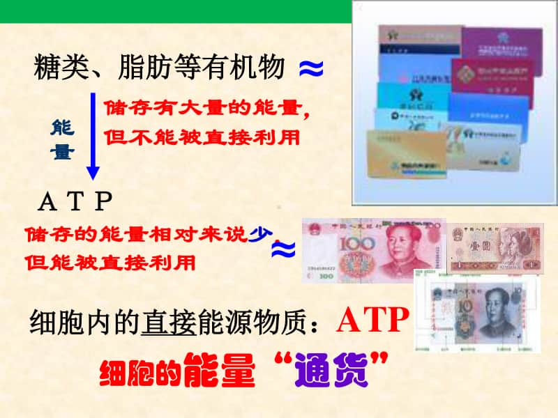 细胞的能量通货-ATP 课件（28张ppt）2021届高三高考生物一轮复习.ppt_第3页