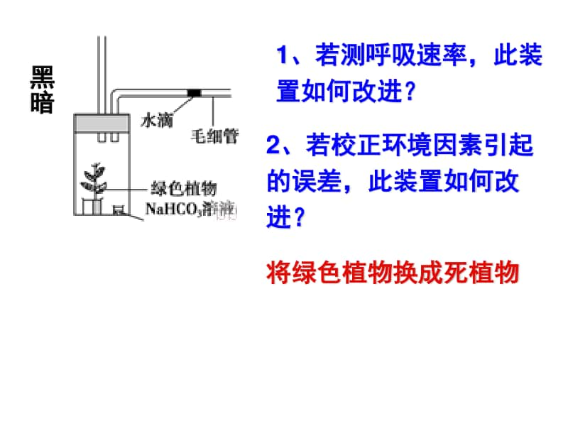 光合作用4 课件（19张ppt）2021届高三高考生物一轮复习.ppt_第2页