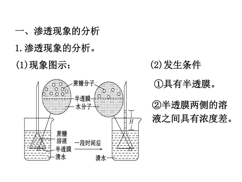 物质跨膜运输的实例 课件（34张ppt）2021届高三高考生物一轮复习.ppt_第2页