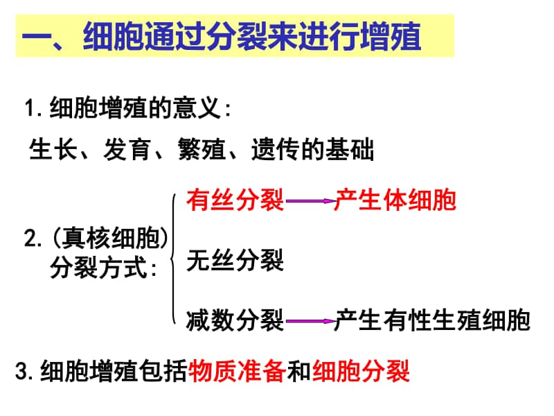 高中生物课件 细胞增殖.ppt_第3页