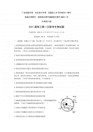 全国新课改省区T8联考2021届高三上学期12月第一次联考生物试题 Word版含答案.docx