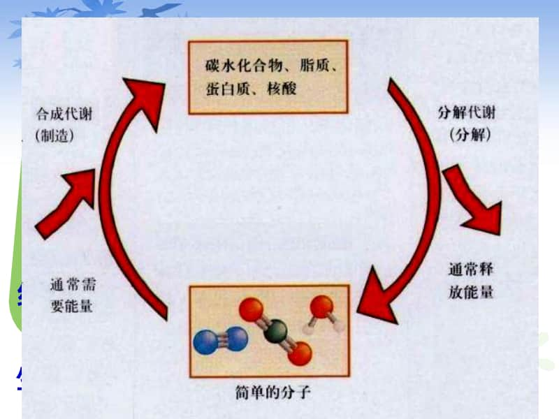 酶的作用与本质 课件（22张ppt）2021届高三高考生物一轮复习.ppt_第3页