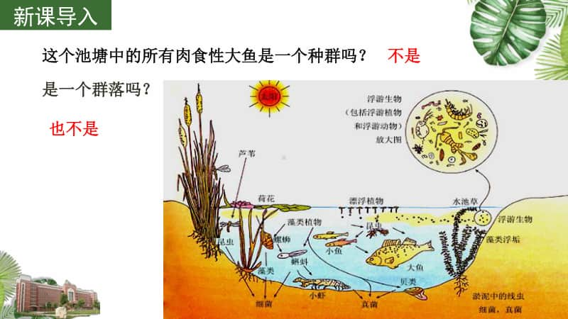 专题9 群落的结构和演替 课件（42张ppt）2021届高三高考生物一轮复习.pptx_第2页