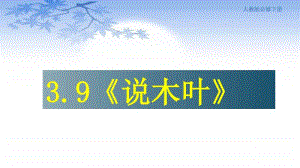 高一语文统编版下册 第三单元 9.1《说“木叶”》课件(共36张PPT).ppt