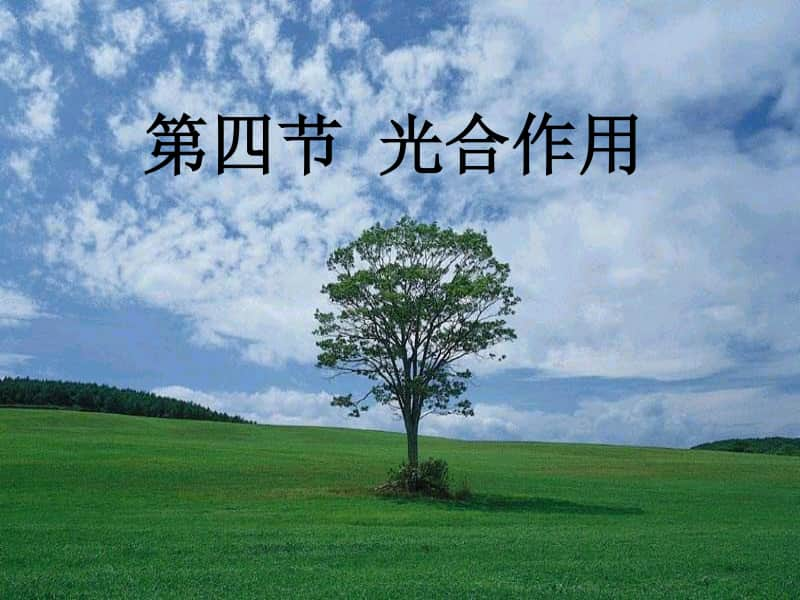 光合作用1 课件（14张ppt）2021届高三高考生物一轮复习.ppt_第1页