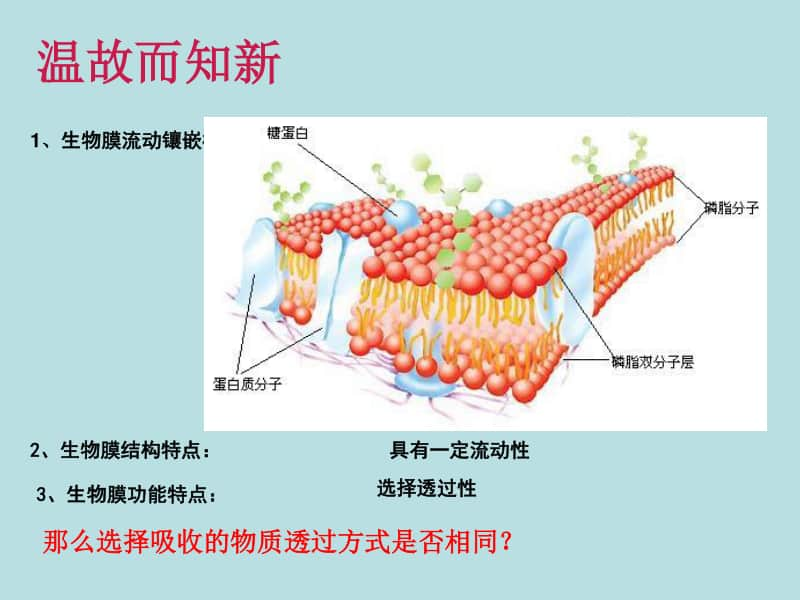 物质运输方式 课件（30张ppt）2021届高三高考生物一轮复习.ppt_第1页