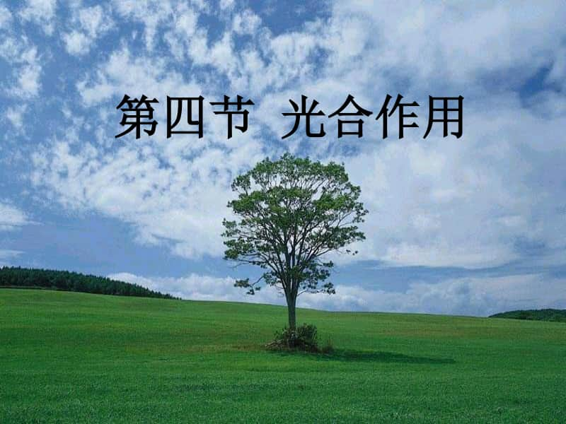 光合作用2 课件（24张ppt）2021届高三高考生物一轮复习.ppt_第1页