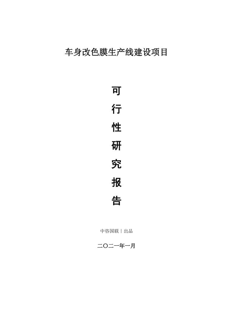 车身改色膜生产建设项目可行性研究报告.doc_第1页