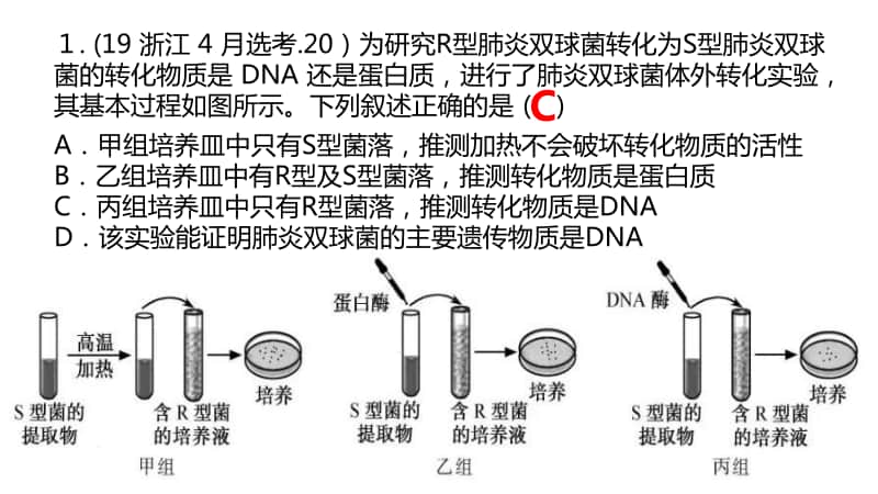 生物必修2 例题精选(49道题)（51张ppt）.ppt_第1页