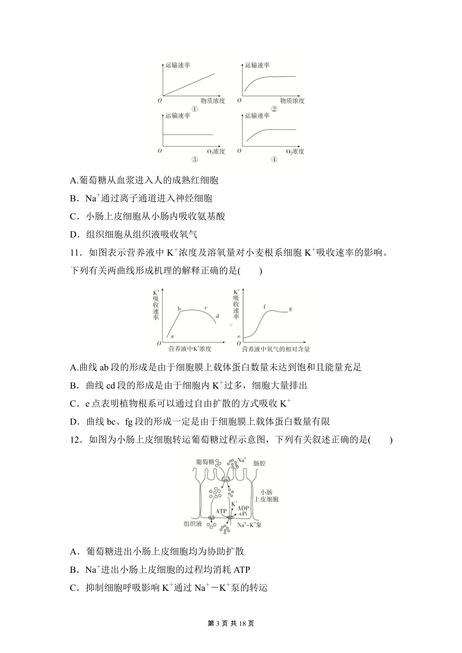 人教版（2019）高一生物必修1 分子与细胞 第4章测试卷（含答案解析）.docx_第3页