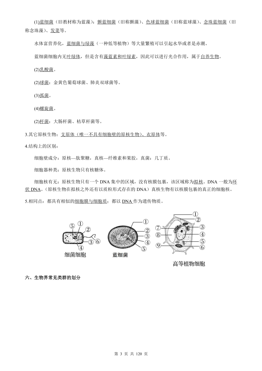 人教版（2019）高中生物新教材必修1 分子与细胞 考点复习提纲（含1-6章共6个单元测试卷及答案全套）.docx_第3页