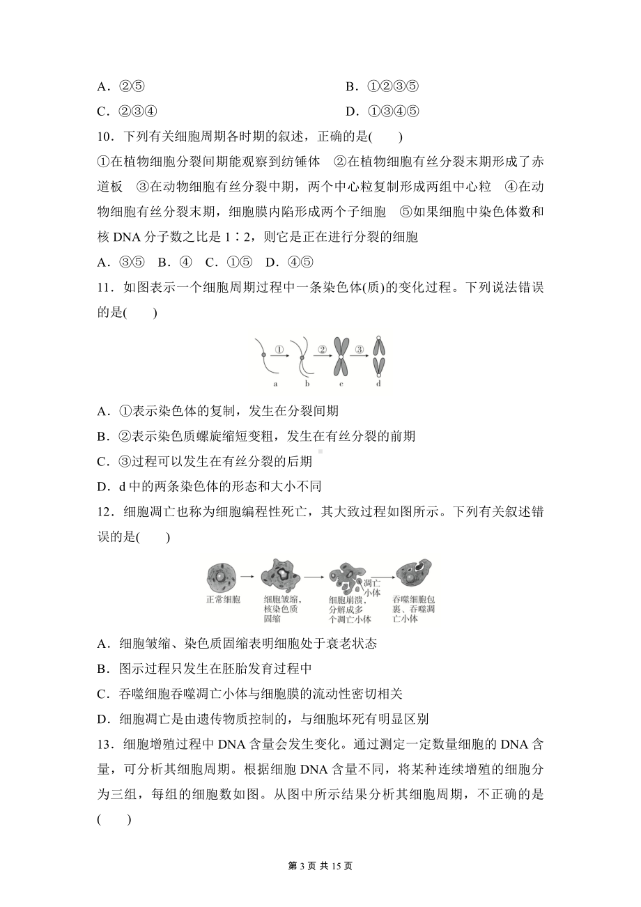 人教版（2019）高一生物必修1 分子与细胞 第6章测试卷（含答案解析）.docx_第3页