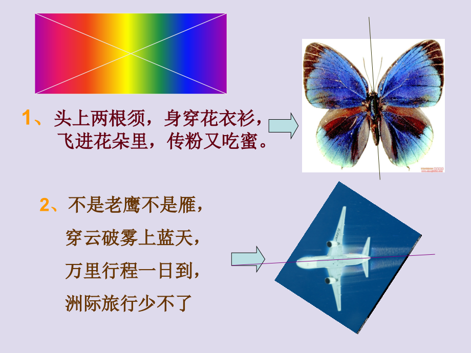 苏少版三年级上册美术第8课　对称美　秩序美-ppt课件-(含教案)-市级公开课-(编号：a023a).zip