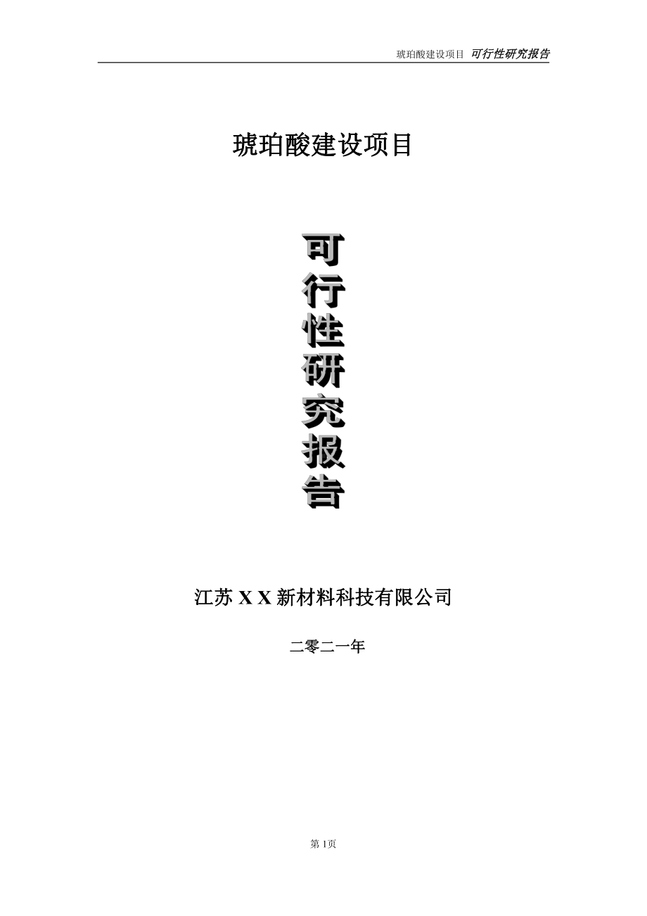 琥珀酸建设项目可行性研究报告-立项方案.doc_第1页