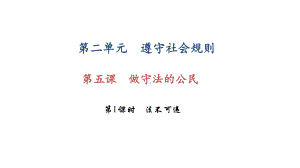 部编版八年级上册道德与法治第五课《做守法的公民法不可违》课件 (7).ppt