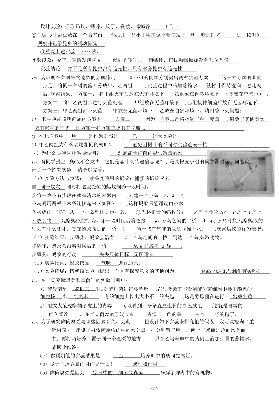 人教版八年级生物上册实验探究题专题练习.doc_第3页