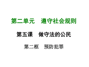 部编版八年级上册道德与法治第五课《做守法的公民预防犯罪》课件 (11).ppt