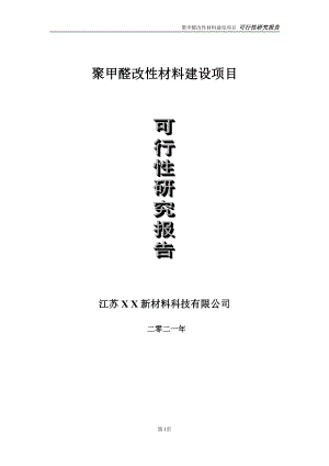 聚甲醛改性材料项目可行性研究报告-立项方案.doc