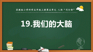 2021新苏教版五年级上册科学第五单元我们的大脑 ppt课件.pptx