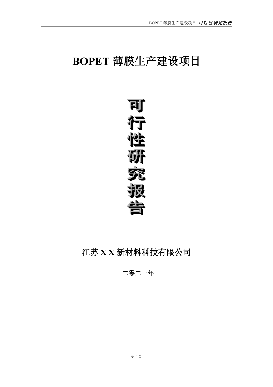 BOPET薄膜生产项目可行性研究报告-立项方案.doc_第1页