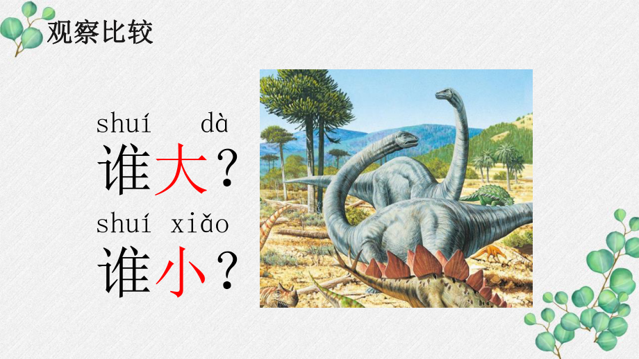 新教科版2021秋一年级科学上册2-1《在观察中比较》课件.pptx_第3页