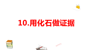 2021新苏教版六年级上册科学3.10.用化石做证据ppt课件.pptx