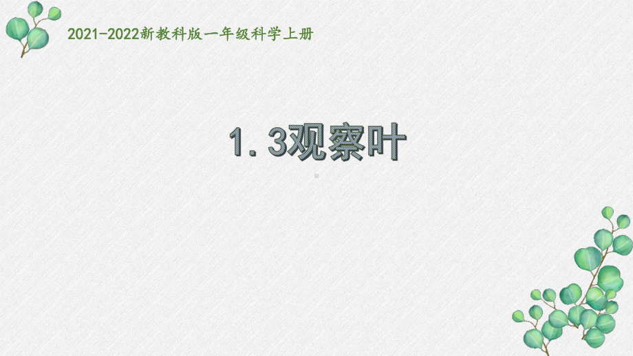 新教科版2021秋一年级科学上册1-3《观察叶》课件.pptx_第1页