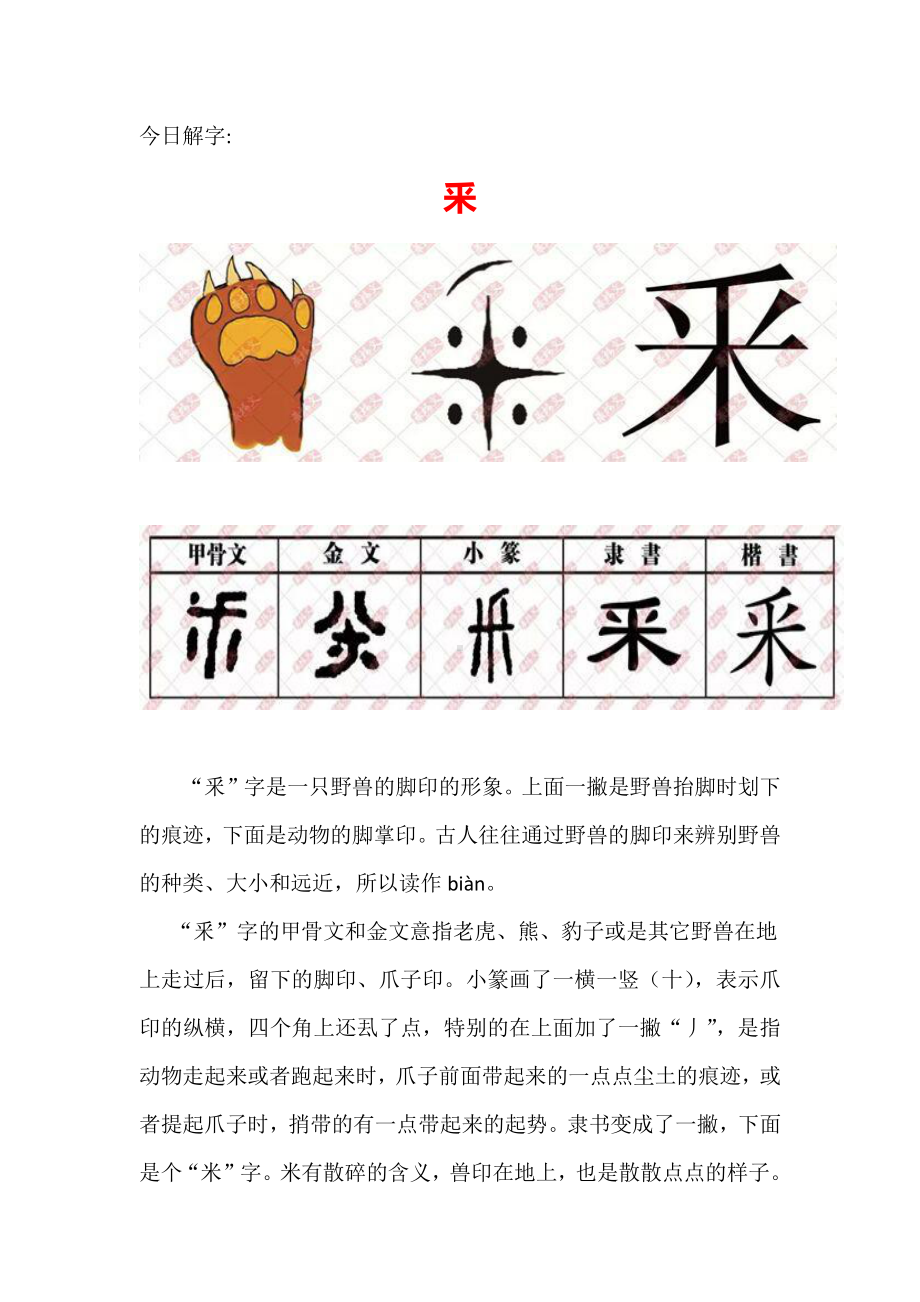 （汉字深度解析）今日解字：采.docx_第1页