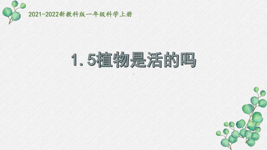 新教科版2021秋一年级科学上册1-5《植物是活的吗》课件 .pptx_第1页