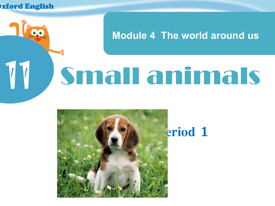 Module 4 The world around us-11 Small animals-ppt课件-(含教案+视频)-市级公开课-沪教版三年级上册英语(编号：e00ec).zip