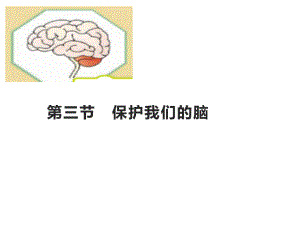 2021新湘教版五年级上册科学1.3保护我们的脑ppt课件.pptx