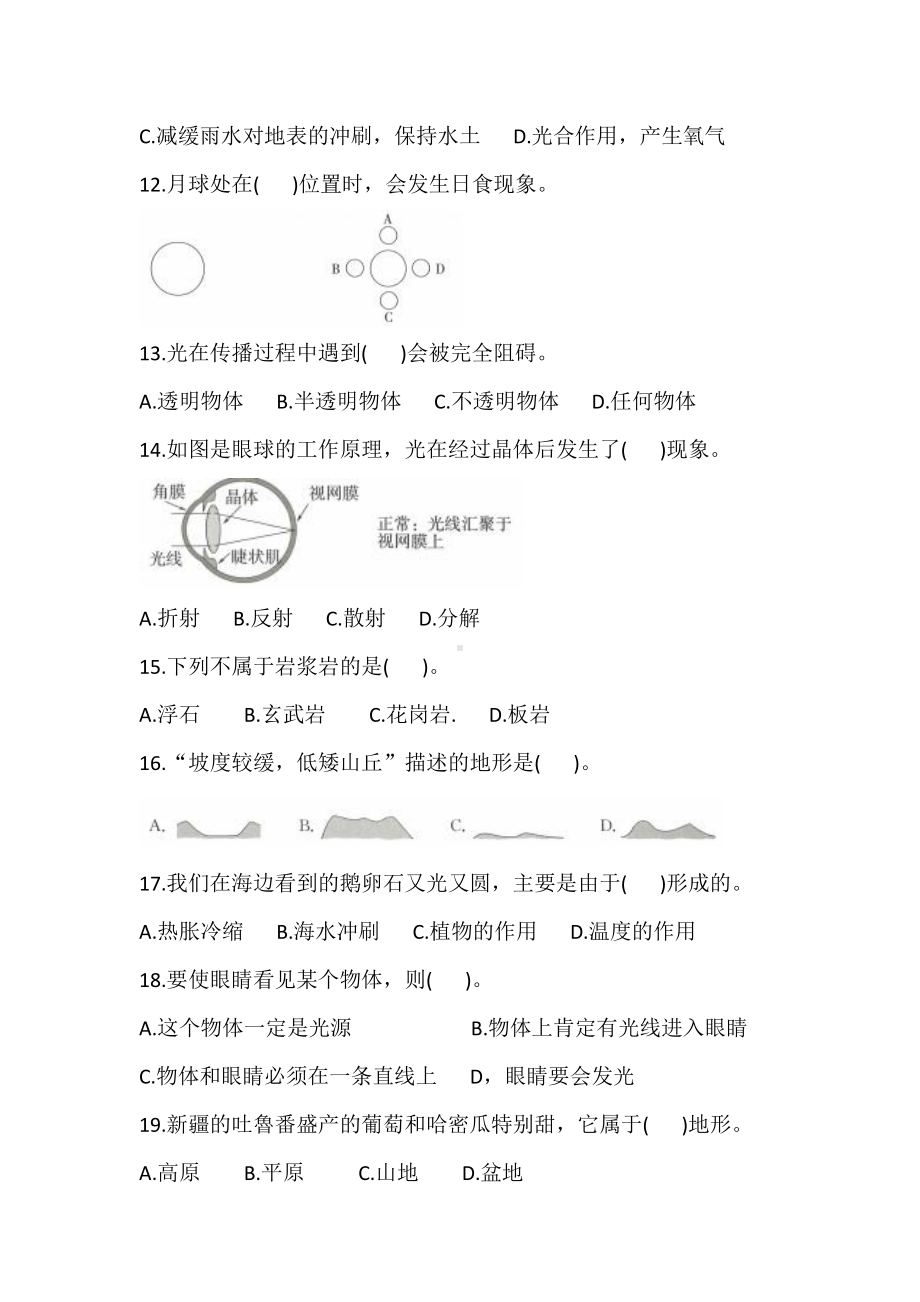 2021新教科版五年级上册科学 期中过关检测卷(基础卷)(含答案).doc_第3页