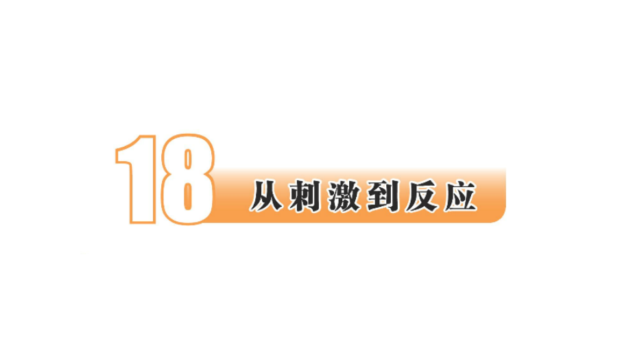 2021新苏教版五年级上册科学 5.18从刺激到反应 ppt课件（含视频）.zip