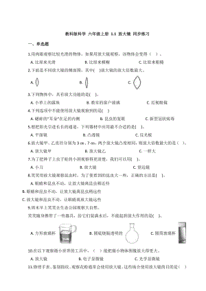 2021新教科版六年级上册科学1.1 放大镜 同步练习（含答案）.docx