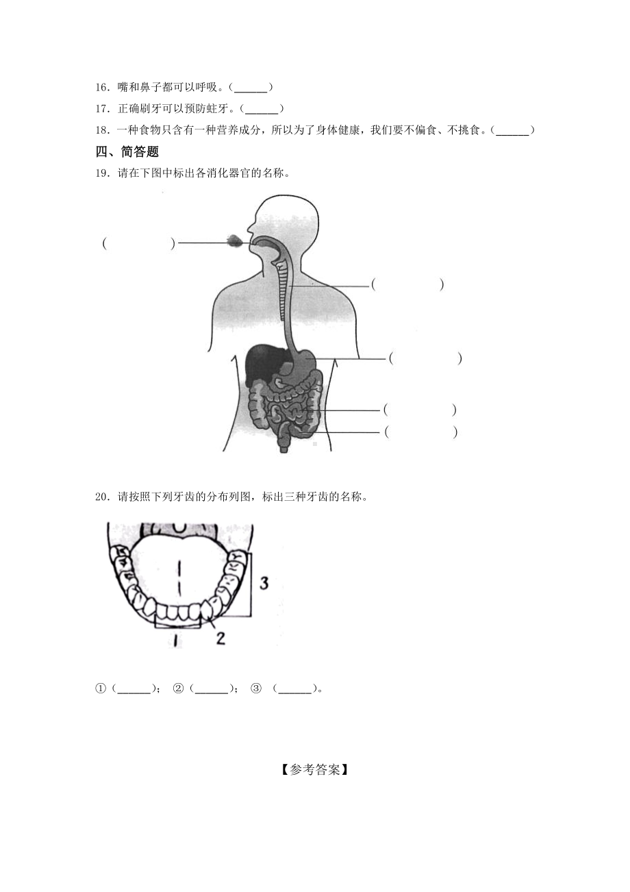 2021新教科版四年级上册科学第二单元 呼吸与消化训练试题（含答案）.docx_第2页