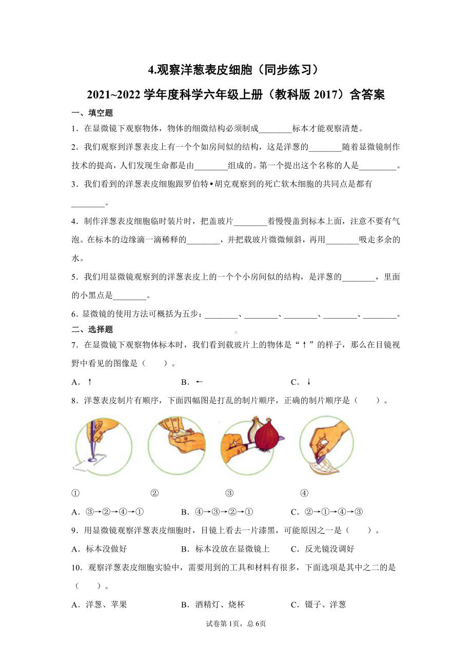 2021新教科版六年级上册科学1.4.观察洋葱表皮细胞（同步练习） 含答案.docx_第1页