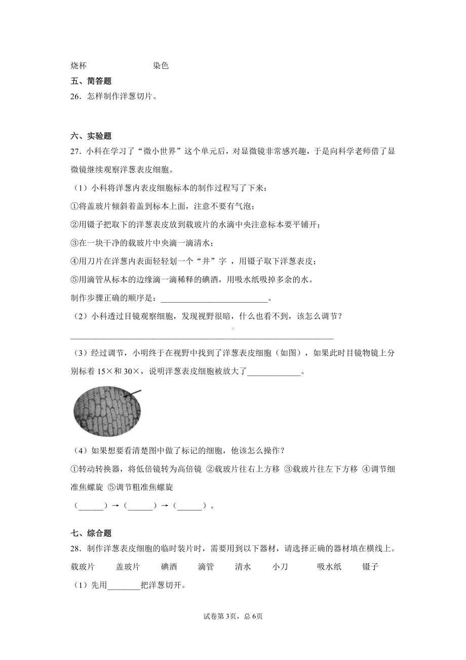 2021新教科版六年级上册科学1.4.观察洋葱表皮细胞（同步练习） 含答案.docx_第3页