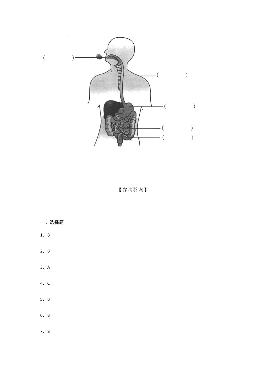 2021新教科版四年级上册科学第二单元 呼吸与消化过关训练试题 （含答 案）.docx_第3页