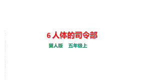 2021新冀教版五年级上册科学2.6 人体的司令部 ppt课件 (3).pptx