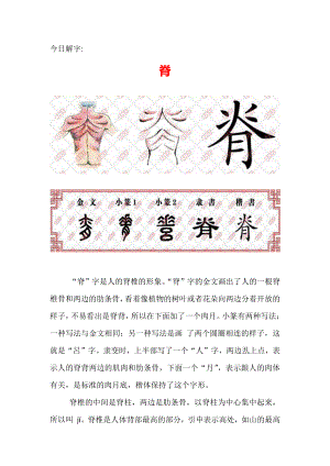 （汉字深度解析）今日解字：脊.docx