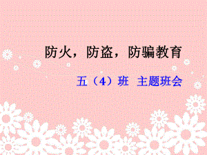 （中小学校主题班会队会资料）防骗防盗防火防交通事故主题班会.ppt