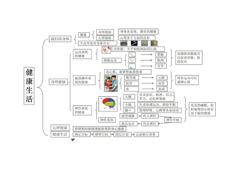 2021新教科版五年级上册科学知识点思维导图docx