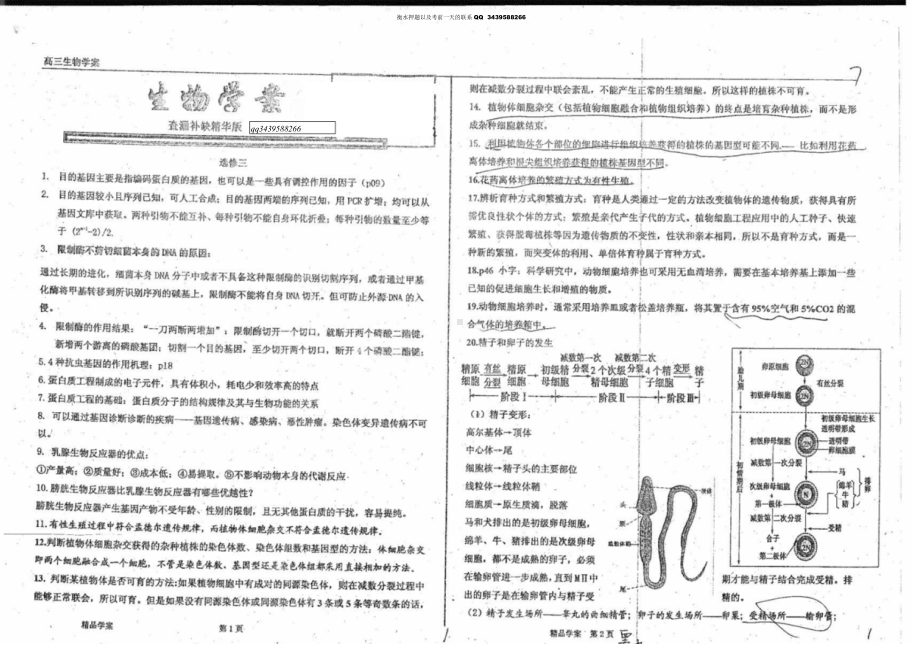 衡水内部生物资料.doc_第1页