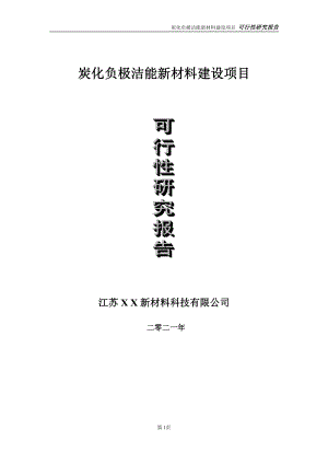 炭化负极洁能新材料项目可行性研究报告-立项方案.doc