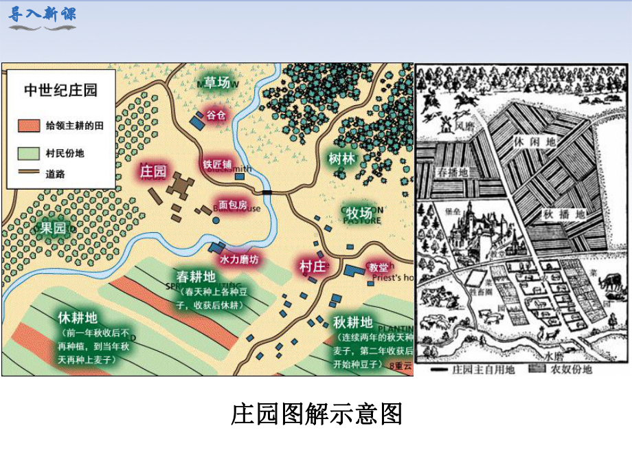 第8课 西欧庄园.ppt_第2页