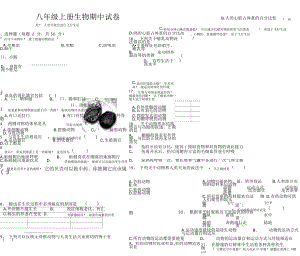 人教版八年级上册生物期中试卷及答案.doc