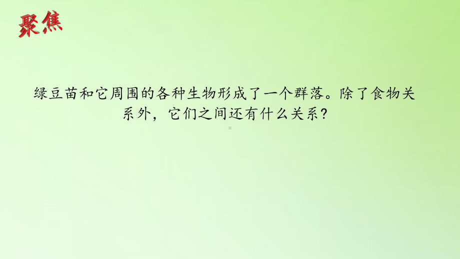 2022新人教版五年级下册科学设计和制作生态瓶 ppt课件.pptx_第2页